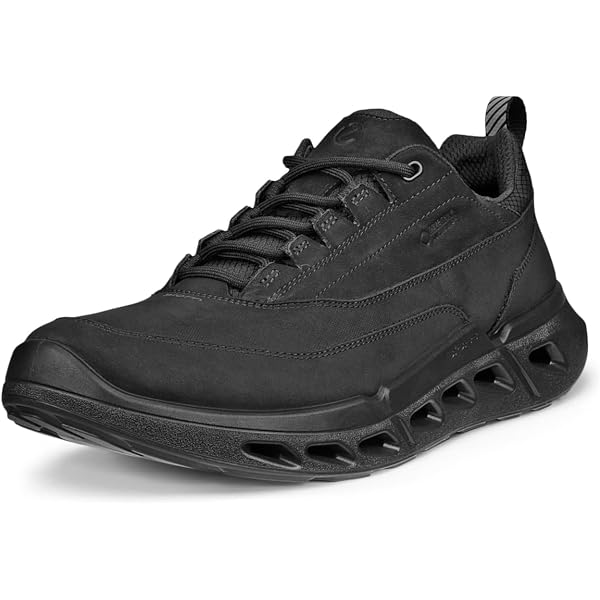 Amazon.com | ECCO Men's Biom AEX Gore-TEX Waterproof Textile